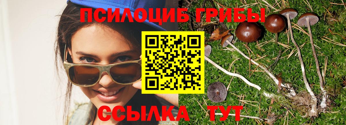 Псилоцибиновые грибы ЛСД  Вход с VPN  Новошахтинск 