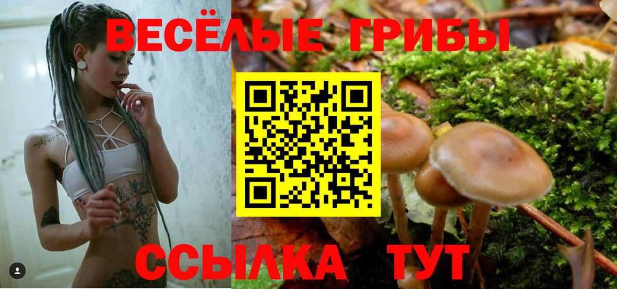 Псилоцибиновые грибы ЛСД Новошахтинск
